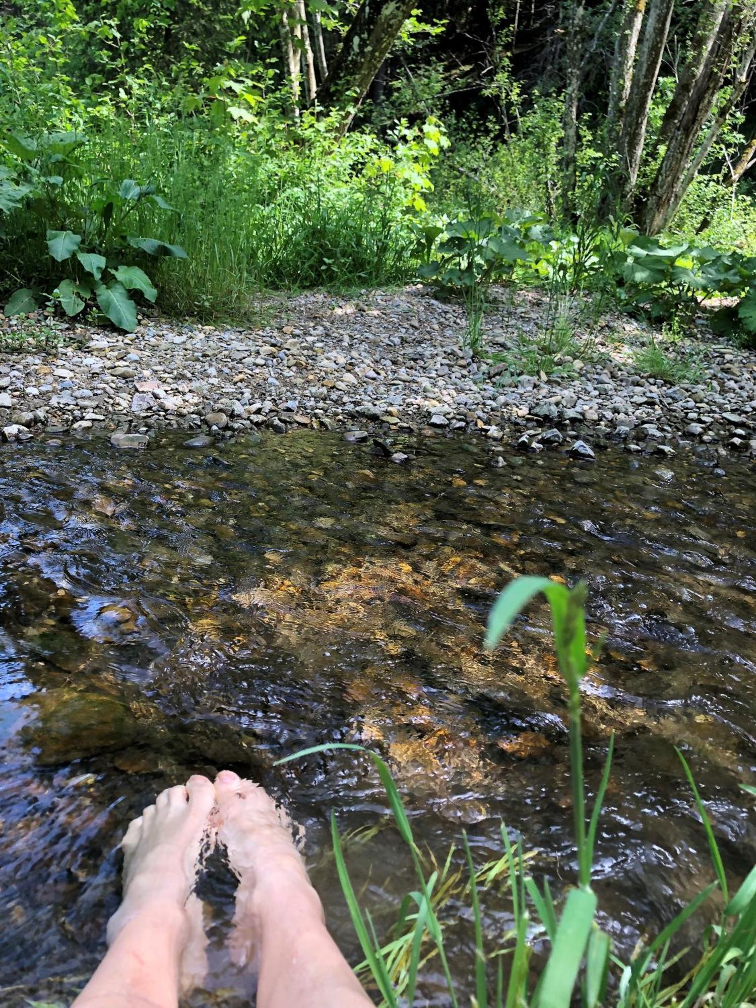 Natur- & Aktivoase Buchenberg  Exterior foto